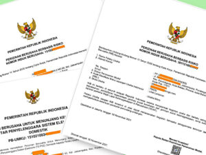 mengurus NIB dapat apa?