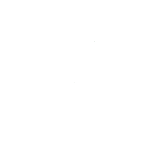 icon-2