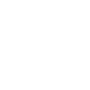 icon-3